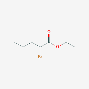 molecular formula C7H13BrO2 B125136 Ethyl 2-bromovalerate CAS No. 615-83-8