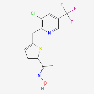 molecular formula C13H10ClF3N2OS B12513942 N-[1-(5-{[3-Chloro-5-(trifluoromethyl)pyridin-2-YL]methyl}thiophen-2-YL)ethylidene]hydroxylamine 