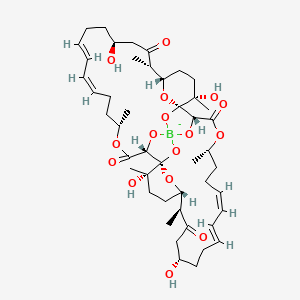 molecular formula C46H68BO16- B1251414 Tartrolone C 