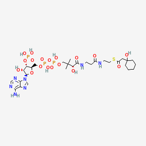 (1-hydroxycyclohexyl)acetyl-CoA