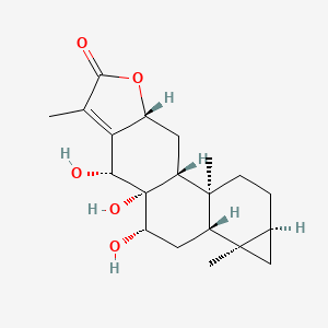 molecular formula C20H28O5 B1251595 Suregadolide D 