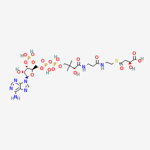 (3S)-3-Carboxy-3-hydroxypropanoyl-CoA