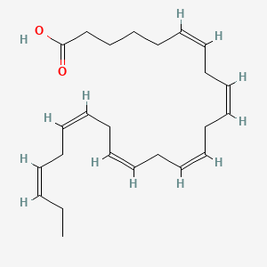 molecular formula C24H36O2 B1251706 Nisinic acid CAS No. 68378-49-4