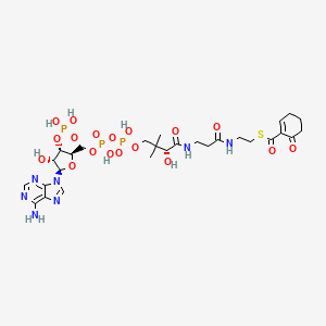 6-oxocyclohex-1-ene-1-carbonyl-CoA