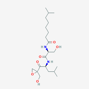 molecular formula C21H38N2O6 B1251944 N-[(2S)-3-hydroxy-1-[[(2S)-1-[2-(hydroxymethyl)oxiran-2-yl]-4-methyl-1-oxopentan-2-yl]amino]-1-oxopropan-2-yl]-7-methyloctanamide 