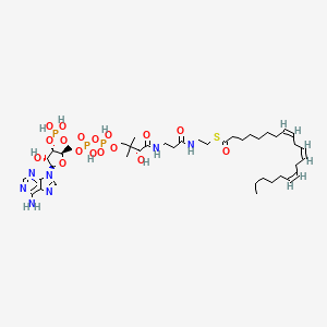 8,11,14-Eicosatrienoyl-CoA