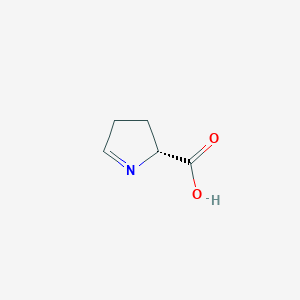 molecular formula C5H7NO2 B1252004 (R)-1-pyrroline-5-carboxylic acid 