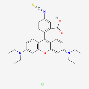 4-Isothiocyanatorhodamine B