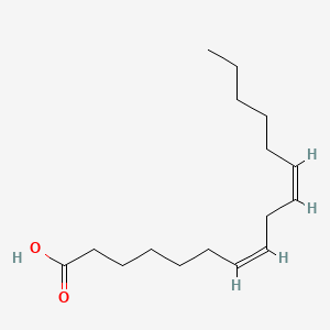 molecular formula C16H28O2 B1252424 7Z,10Z-hexadecadienoic acid CAS No. 28290-73-5