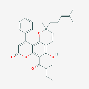 molecular formula C30H32O5 B1252871 Mesuagenin B 