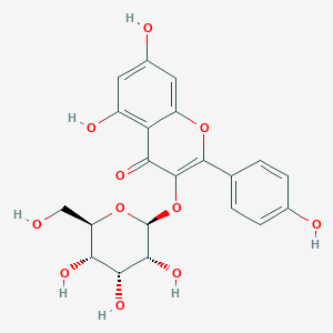 kaempferol 3-O-beta-D-allopyranoside