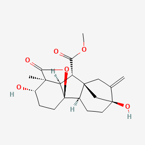Gibberellin A1 methyl ester