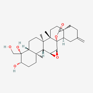 molecular formula C28H40O6 B1253049 Paeonenoide A 