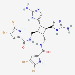 molecular formula C22H22Br4N10O2 B1253205 N-[[(1R,2S,3S,4R)-2,3-bis(2-amino-1H-imidazol-5-yl)-4-[[(4,5-dibromo-1H-pyrrole-2-carbonyl)amino]methyl]cyclobutyl]methyl]-4,5-dibromo-1H-pyrrole-2-carboxamide 