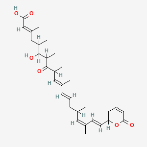 (2E,10E,12E,16Z,18E)-6-hydroxy-3,5,7,9,11,15,17-heptamethyl-8-oxo-19-(6-oxo-2,3-dihydropyran-2-yl)nonadeca-2,10,12,16,18-pentaenoic acid