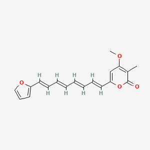 molecular formula C19H18O4 B1253499 Gymnoconjugatin 