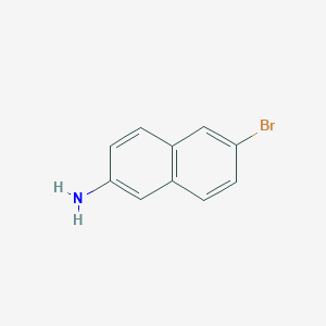 molecular formula C10H8BrN B125385 2-Amino-6-bromonaphthalene CAS No. 7499-66-3