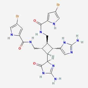 molecular formula C22H24Br2N10O3 B1254021 N-[[(1R,2S,3S,4R)-3-(2-amino-1H-imidazol-5-yl)-2-(2-amino-5-oxo-1,4-dihydroimidazol-4-yl)-4-[[(4-bromo-1H-pyrrole-2-carbonyl)amino]methyl]cyclobutyl]methyl]-4-bromo-1H-pyrrole-2-carboxamide 