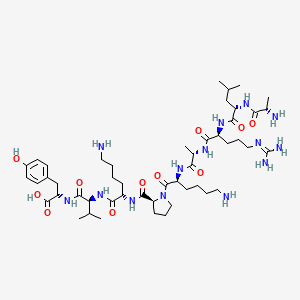 molecular formula C49H84N14O11 B12541750 L-Alanyl-L-leucyl-N~5~-(diaminomethylidene)-L-ornithyl-L-alanyl-L-lysyl-L-prolyl-L-lysyl-L-valyl-L-tyrosine CAS No. 651770-71-7