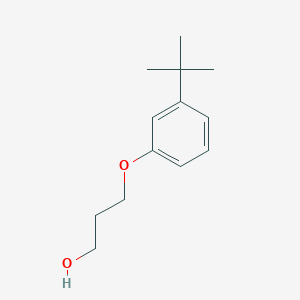 molecular formula C13H20O2 B12542567 3-(3-Tert-butylphenoxy)propan-1-ol CAS No. 145073-39-8