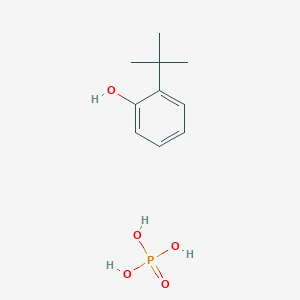 molecular formula C10H17O5P B12543475 Phosphoric acid--2-tert-butylphenol (1/1) CAS No. 141933-77-9