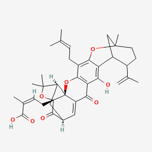 (Z)-4-[(1S,2S,19S,21R)-14-hydroxy-8,23,23-trimethyl-5-(3-methylbut-2-enyl)-16,20-dioxo-11-prop-1-en-2-yl-3,7,22-trioxaheptacyclo[17.4.1.18,12.02,17.02,21.04,15.06,13]pentacosa-4(15),5,13,17-tetraen-21-yl]-2-methylbut-2-enoic acid