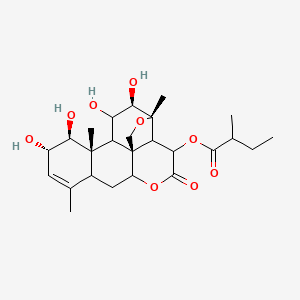 molecular formula C25H36O9 B1254553 [(1R,3R,11S,12S,13S,15R,16R,17S)-11,12,15,16-tetrahydroxy-9,13,17-trimethyl-4-oxo-5,18-dioxapentacyclo[12.5.0.01,6.02,17.08,13]nonadec-9-en-3-yl] 2-methylbutanoate 