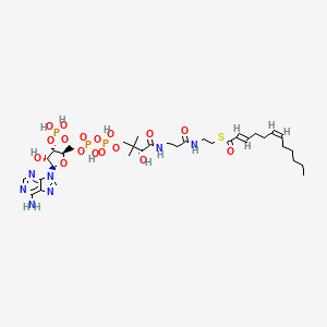 molecular formula C33H54N7O17P3S B1254594 (2-反式,6-顺式)-十二-2,6-二烯酰辅酶A 