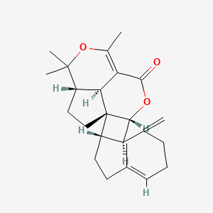 molecular formula C24H32O3 B1254658 Antheliolide A 