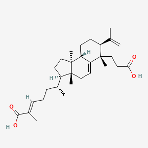 molecular formula C30H46O4 B1254740 Kadsuric acid 