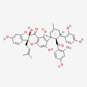 molecular formula C40H36O12 B1254829 Sanggenon C 