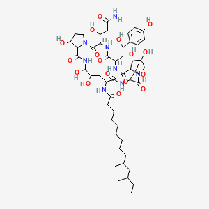 molecular formula C50H80N8O17 B1254833 N-[3-(3-amino-1-hydroxy-3-oxopropyl)-6-[1,2-dihydroxy-2-(4-hydroxyphenyl)ethyl]-11,20,21,25-tetrahydroxy-15-(1-hydroxyethyl)-2,5,8,14,17,23-hexaoxo-1,4,7,13,16,22-hexazatricyclo[22.3.0.09,13]heptacosan-18-yl]-10,12-dimethyltetradecanamide 