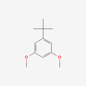 molecular formula C12H18O2 B12548736 Benzene, 1-(1,1-dimethylethyl)-3,5-dimethoxy- CAS No. 143029-45-2