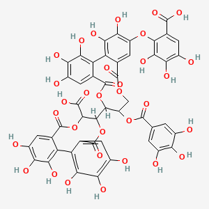 molecular formula C48H32O32 B1254997 11-[17-(6-Carboxy-2,3,4-trihydroxyphenoxy)-3,4,5,18,19-pentahydroxy-8,14-dioxo-11-(3,4,5-trihydroxybenzoyl)oxy-9,13-dioxatricyclo[13.4.0.02,7]nonadeca-1(19),2,4,6,15,17-hexaen-10-yl]-3,4,5,16,17,18-hexahydroxy-8,13-dioxo-9,12-dioxatricyclo[12.4.0.02,7]octadeca-1(18),2,4,6,14,16-hexaene-10-carboxylic acid 