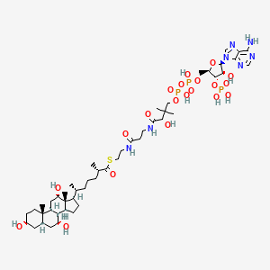 (25S)-3alpha,7alpha,12alpha-trihydroxy-5beta-cholestanoyl-CoA