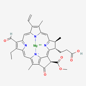 molecular formula C35H32MgN4O6 B1255054 Chlorophyllide b 