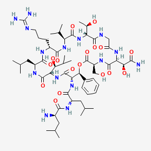 molecular formula C57H95N15O17 B1255106 (2R)-2-amino-N-[(2S)-1-[[(3S,6S,12R,15S,18R,21S,24S,27S,28S)-6-[(1S)-2-amino-1-hydroxy-2-oxoethyl]-18-[3-(diaminomethylideneamino)propyl]-12-[(1R)-1-hydroxyethyl]-3-(hydroxymethyl)-24-[(1S)-1-hydroxy-2-methylpropyl]-21-(2-methylpropyl)-2,5,8,11,14,17,20,23,26-nonaoxo-28-phenyl-15-propan-2-yl-1-oxa-4,7,10,13,16,19,22,25-octazacyclooctacos-27-yl]amino]-4-methyl-1-oxopentan-2-yl]-4-methylpentanamide 