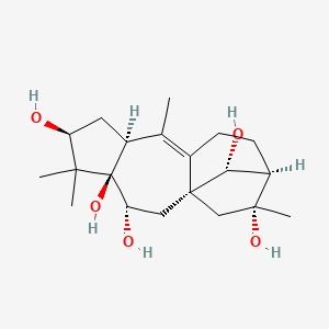 molecular formula C20H32O5 B1255126 Isograyanotoxin II 