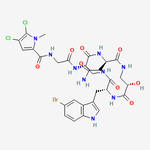 cyclocinamide B