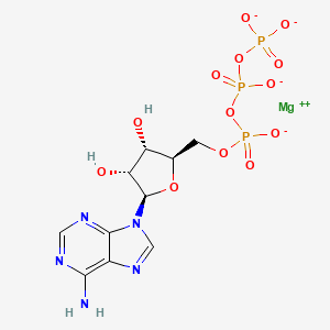 molecular formula C10H12MgN5O13P3-2 B1255266 MgATP(2-) 