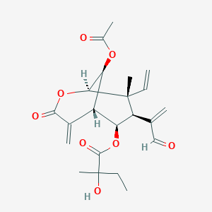 molecular formula C22H28O8 B1255328 Zinagrandinolide B 