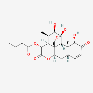 molecular formula C25H34O9 B1255631 [(1R,4S,5R,6R,7S,8R,11R,13S,17S,18S,19R)-4,5,17-trihydroxy-6,14,18-trimethyl-9,16-dioxo-3,10-dioxapentacyclo[9.8.0.01,7.04,19.013,18]nonadec-14-en-8-yl] 2-methylbutanoate 