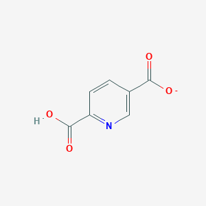 5-Carboxypyridine-2-carboxylate