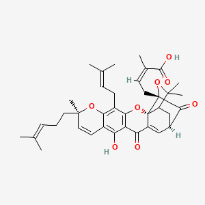 molecular formula C38H44O8 B1255877 Guttic acid 
