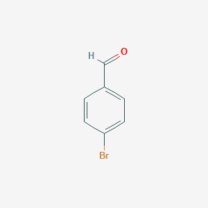 molecular formula C7H5BrO B125591 4-溴苯甲醛 CAS No. 1122-91-4