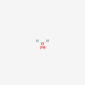 molecular formula H2O B1255936 Oxygen-19 