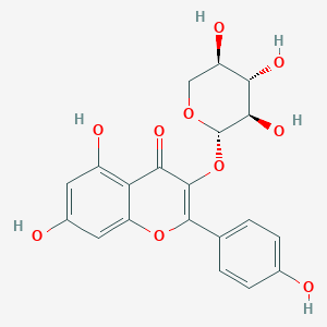 kaempferol 3-O-beta-D-xyloside