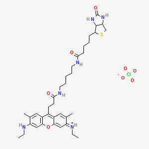 N-[6-(ethylamino)-2,7-dimethyl-9-{3-oxo-3-[(5-{[5-(2-oxohexahydro-1H-thieno[3,4-d]imidazol-4-yl)pentanoyl]amino}pentyl)amino]propyl}-3H-xanthen-3-ylidene]ethanaminium perchlorate