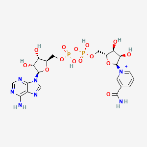 molecular formula C21H28N7O14P2+ B1256385 alpha-NAD(+) 