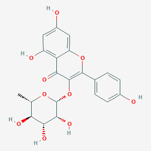 molecular formula C21H20O10 B1256469 kaempferol-3-O-alpha-L-rhamnoside 